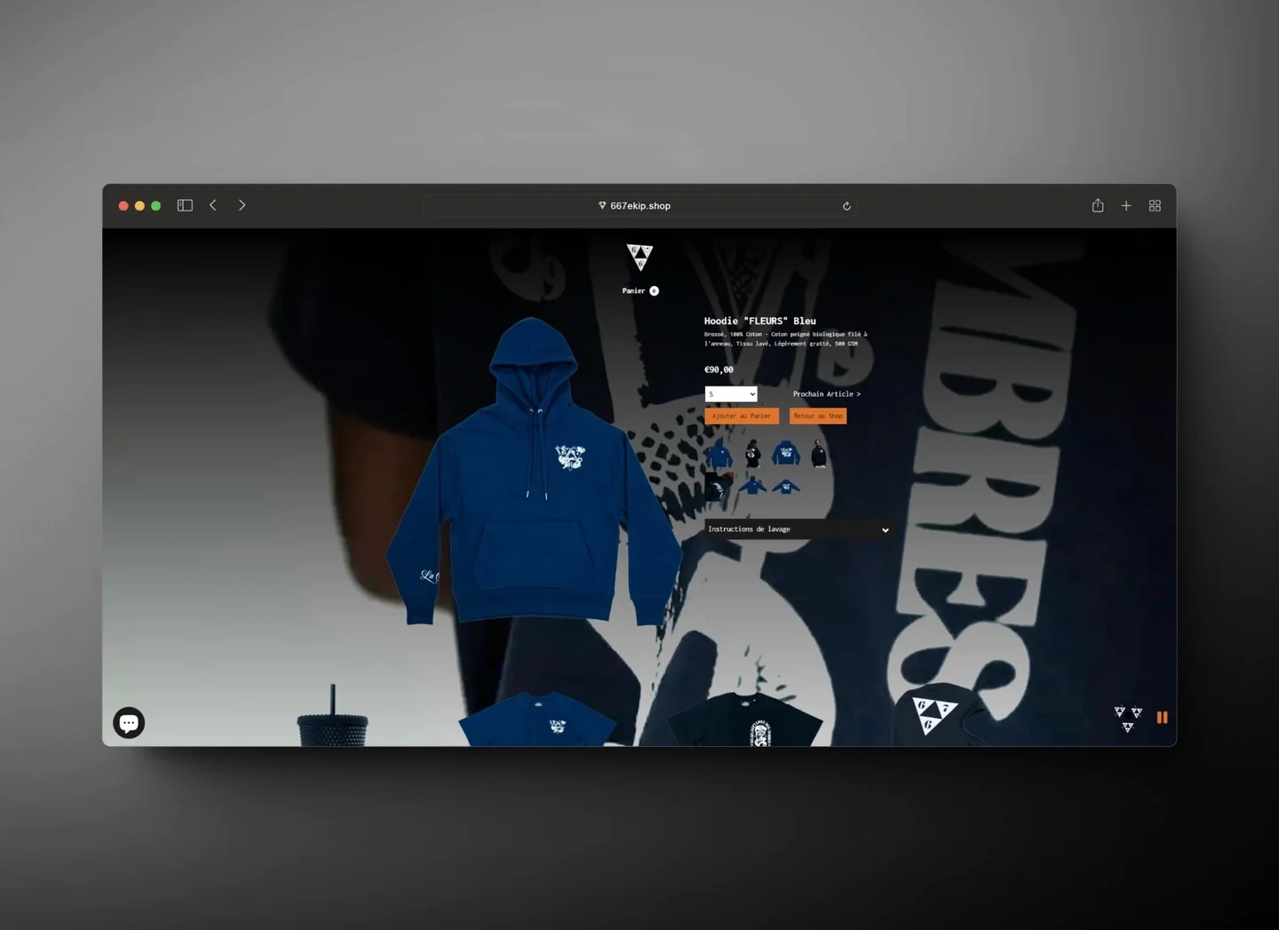 667 EKIP storefront on desktop